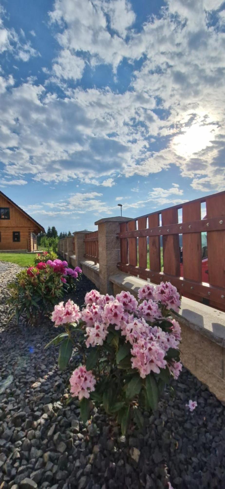 Apartmany Plesivec Abertamy Eksteriør bilde